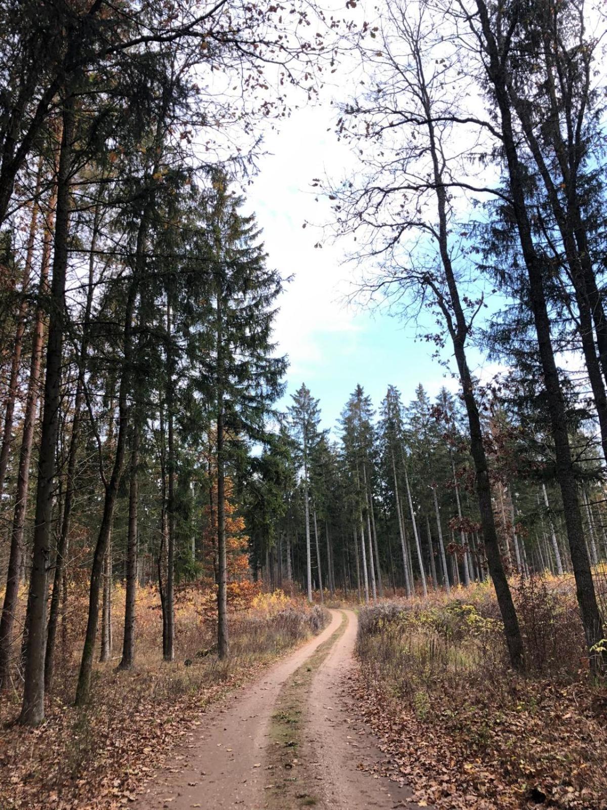 Slonce Mazur Hotel Dzwierzuty Buitenkant foto