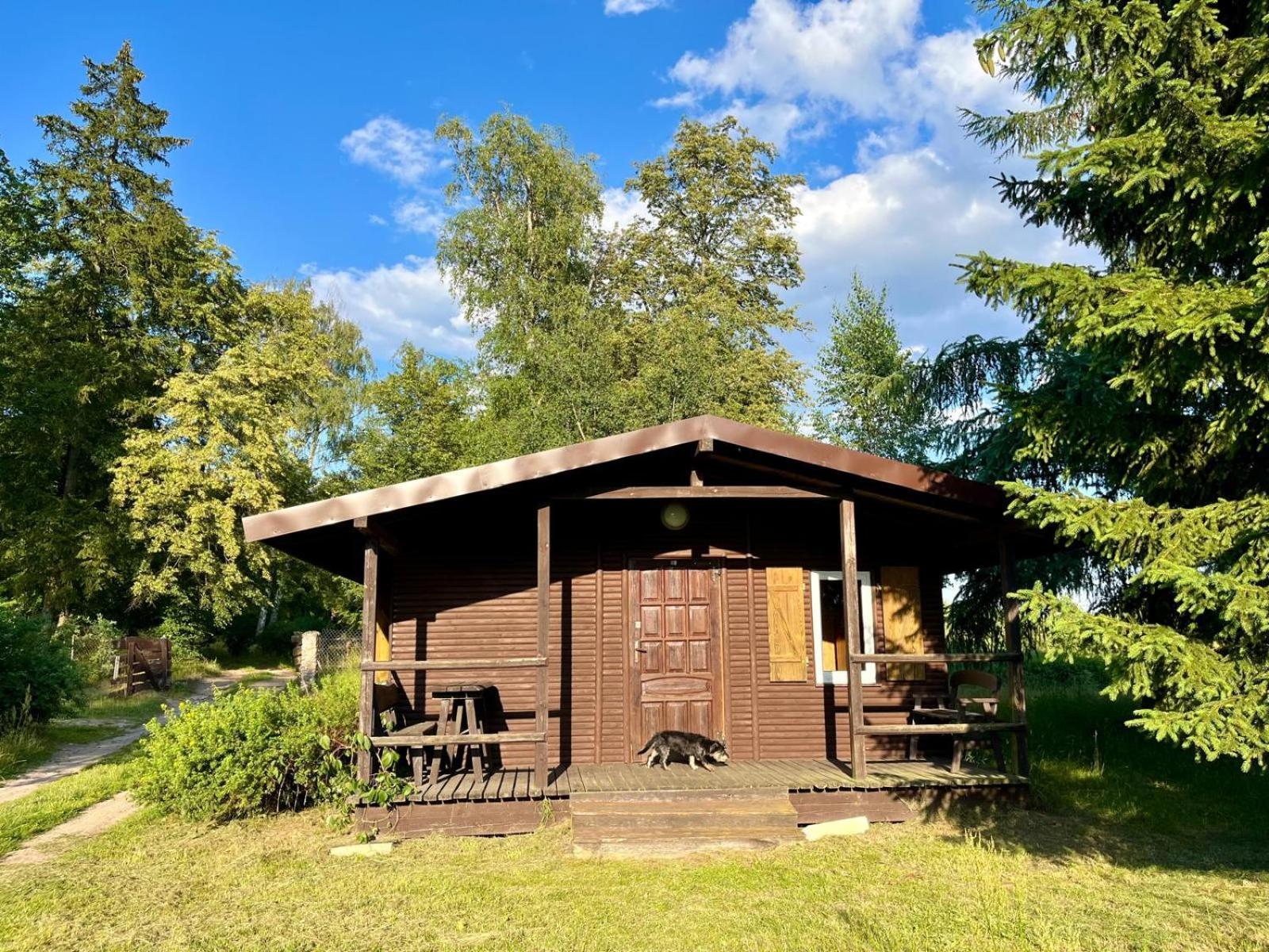 Slonce Mazur Hotel Dzwierzuty Buitenkant foto