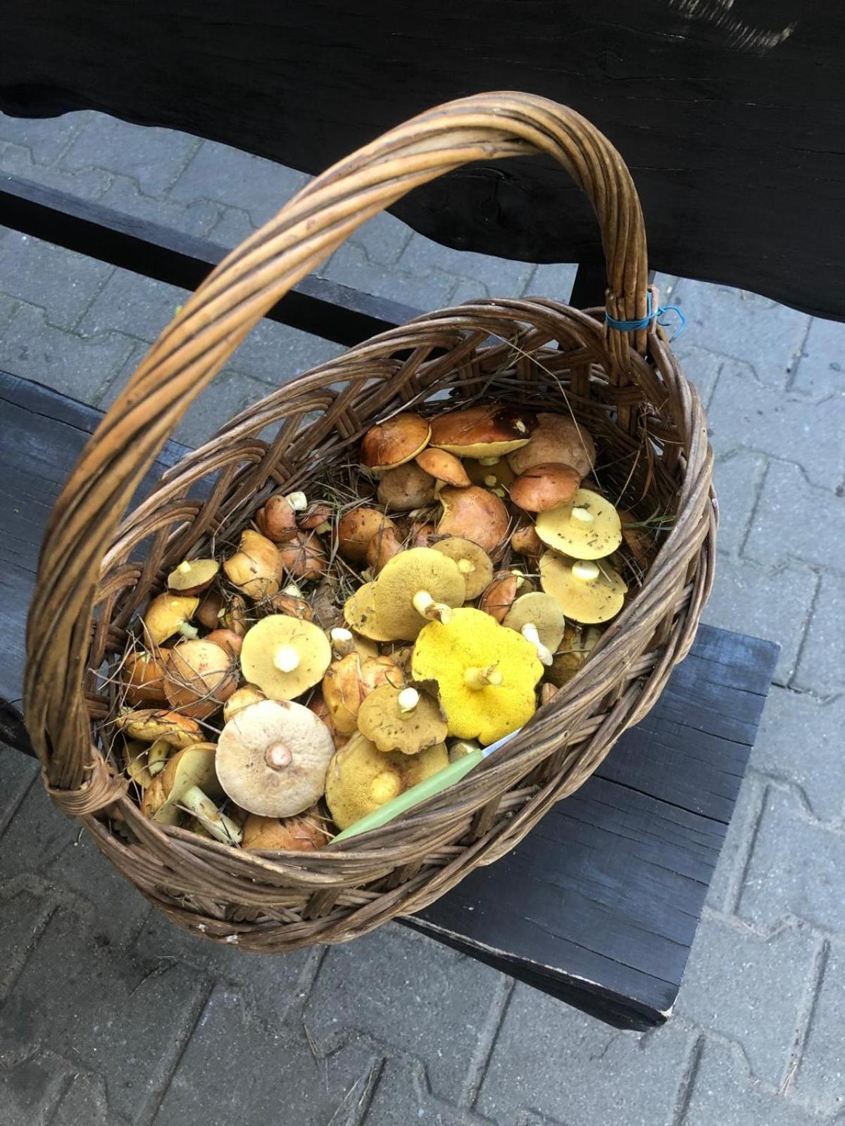 Slonce Mazur Hotel Dzwierzuty Buitenkant foto